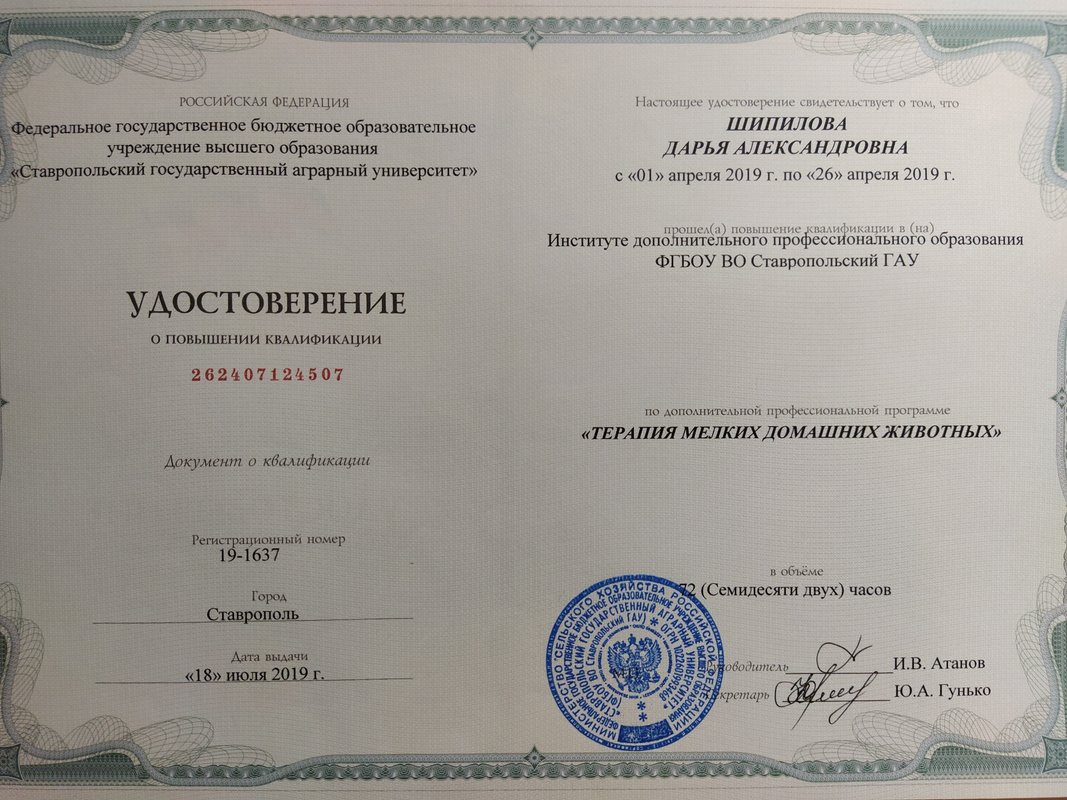 Документ или сертификат