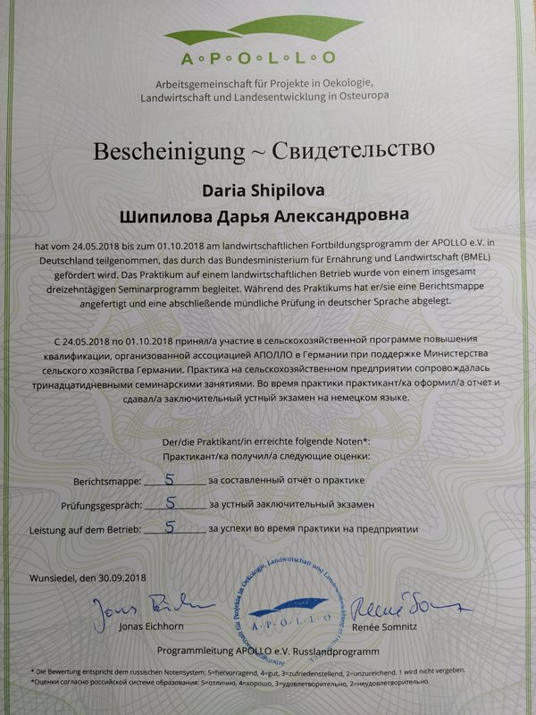 Документ или сертификат