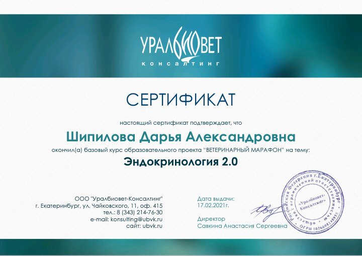 Документ или сертификат
