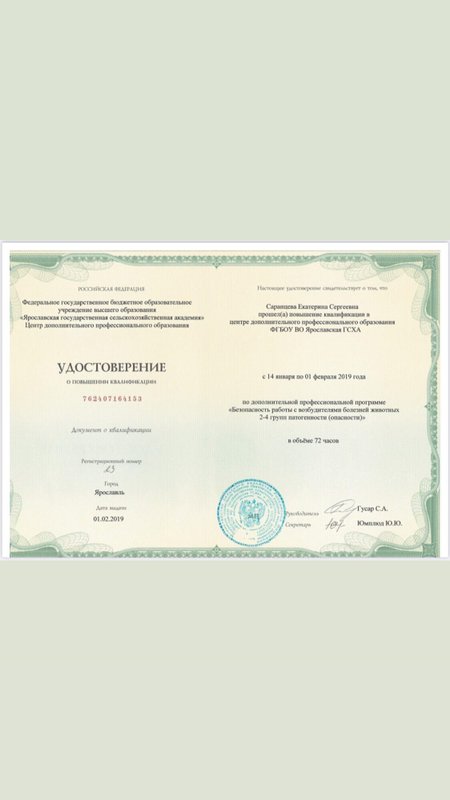 Документ или сертификат