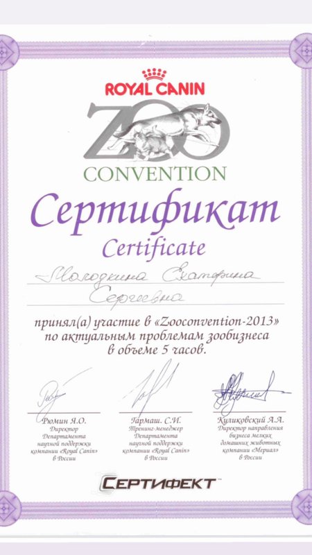 Документ или сертификат
