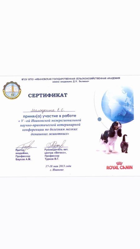 Документ или сертификат