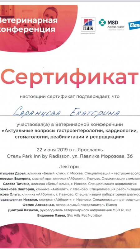 Документ или сертификат