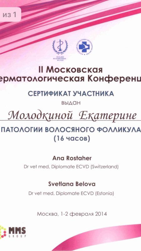 Документ или сертификат