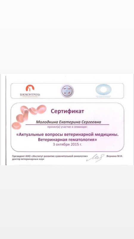 Документ или сертификат