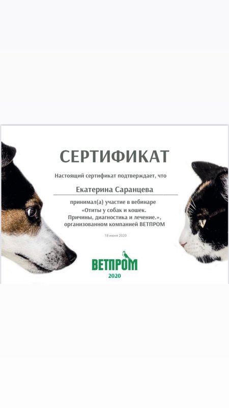 Документ или сертификат