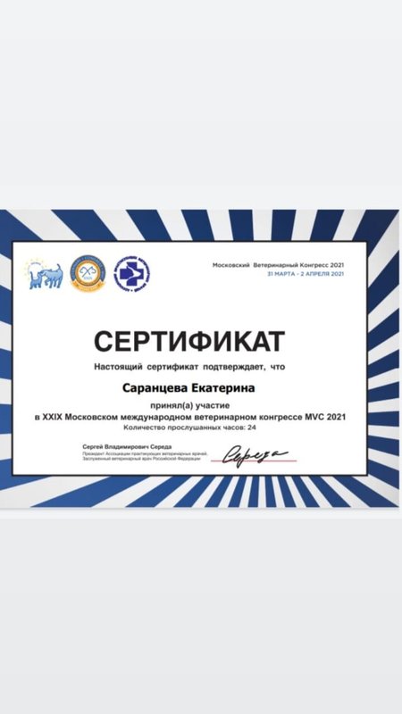 Документ или сертификат