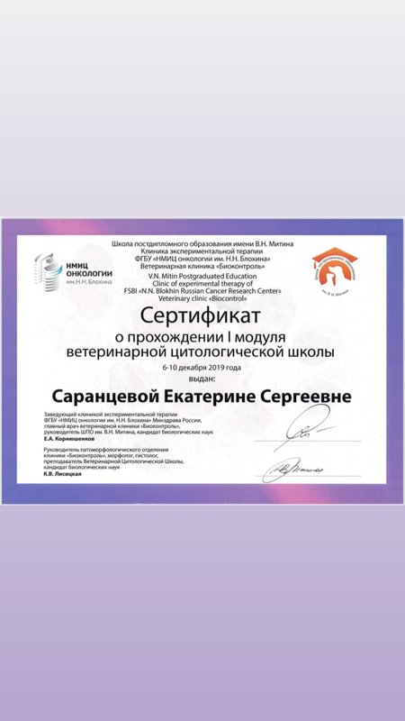 Документ или сертификат