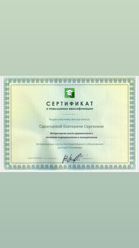 Документ или сертификат