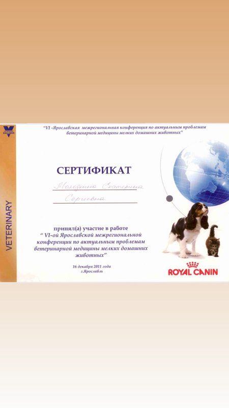 Документ или сертификат