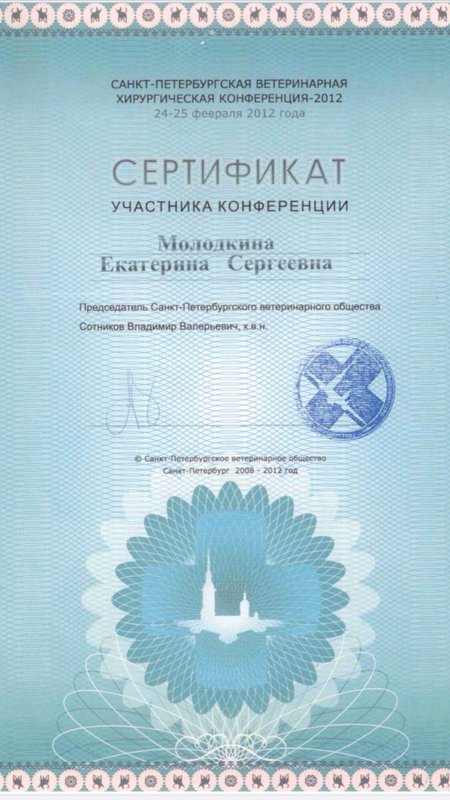 Документ или сертификат