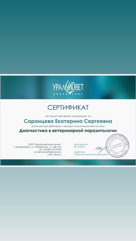 Документ или сертификат