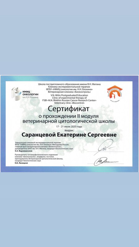 Документ или сертификат