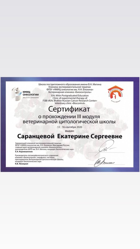 Документ или сертификат