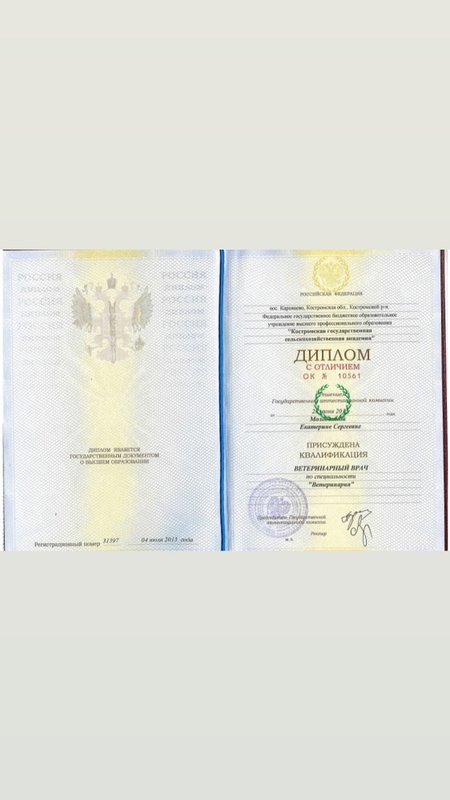 Документ или сертификат
