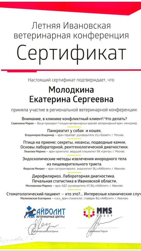 Документ или сертификат