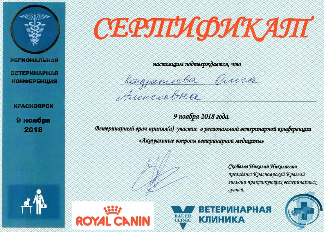 Документ или сертификат