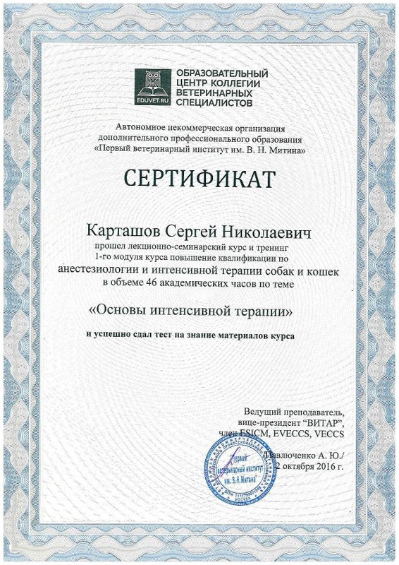 Документ или сертификат