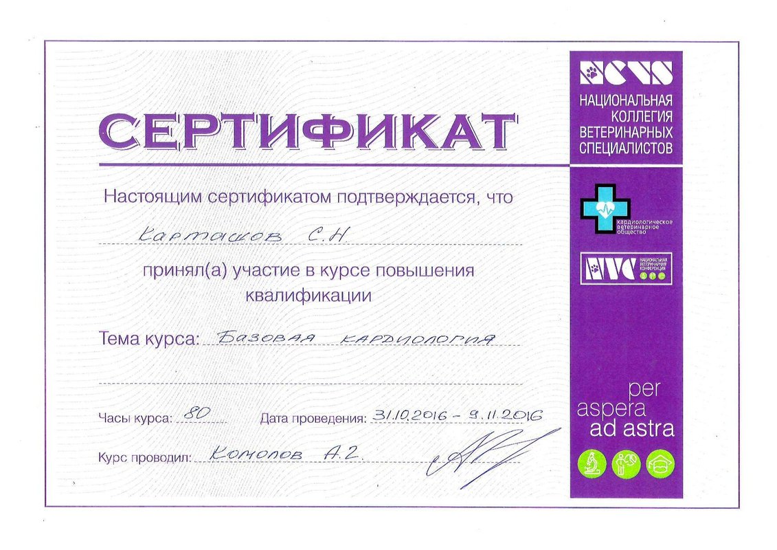 Документ или сертификат