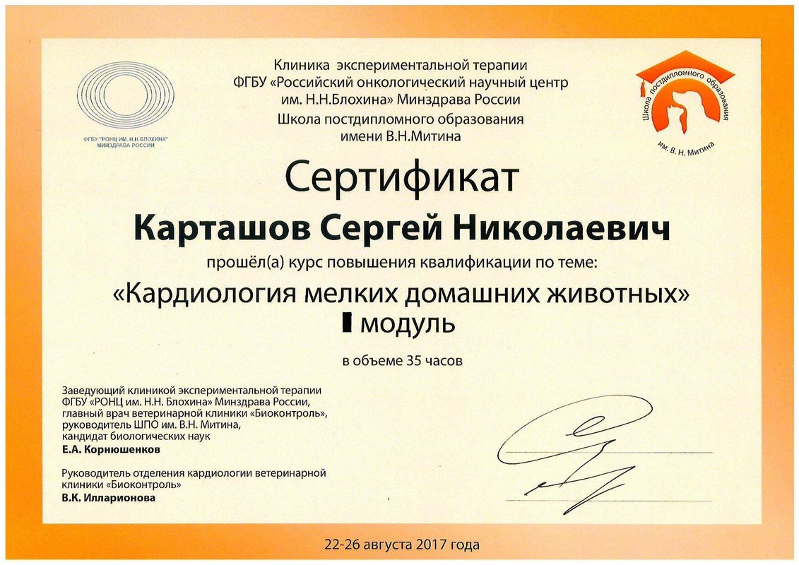 Документ или сертификат