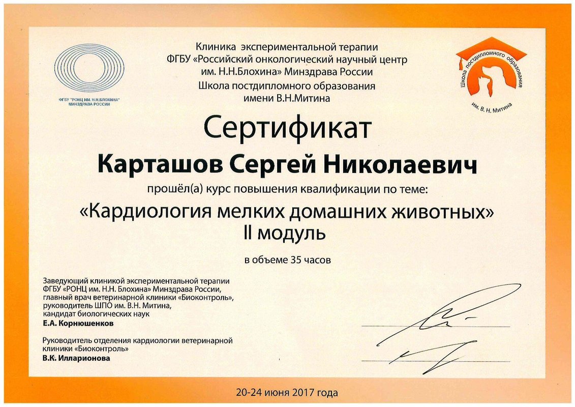 Документ или сертификат