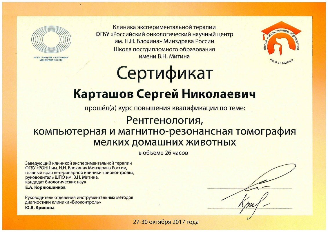 Документ или сертификат