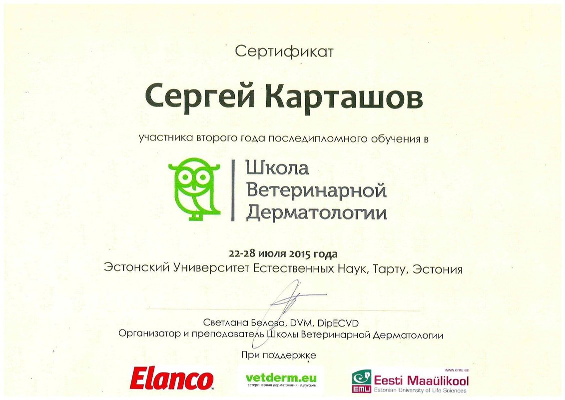 Документ или сертификат