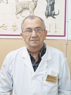 Фото врача Фельдман Захар Матвеевич