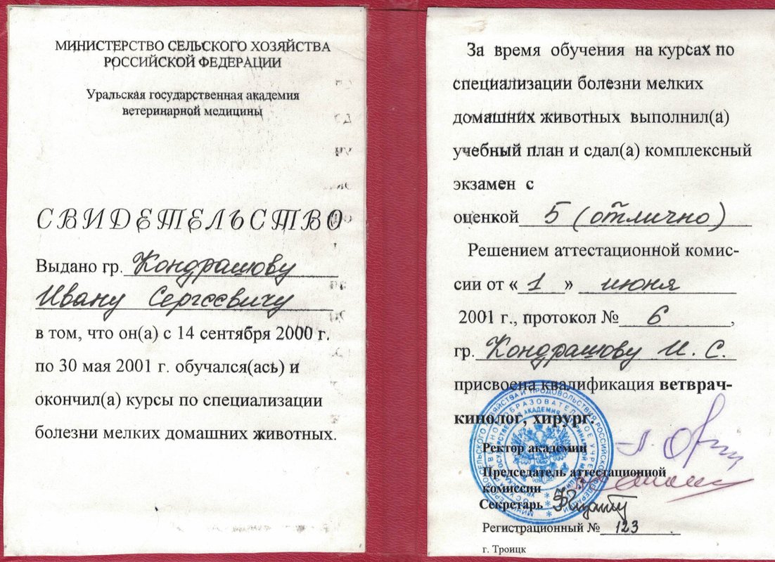 Документ или сертификат