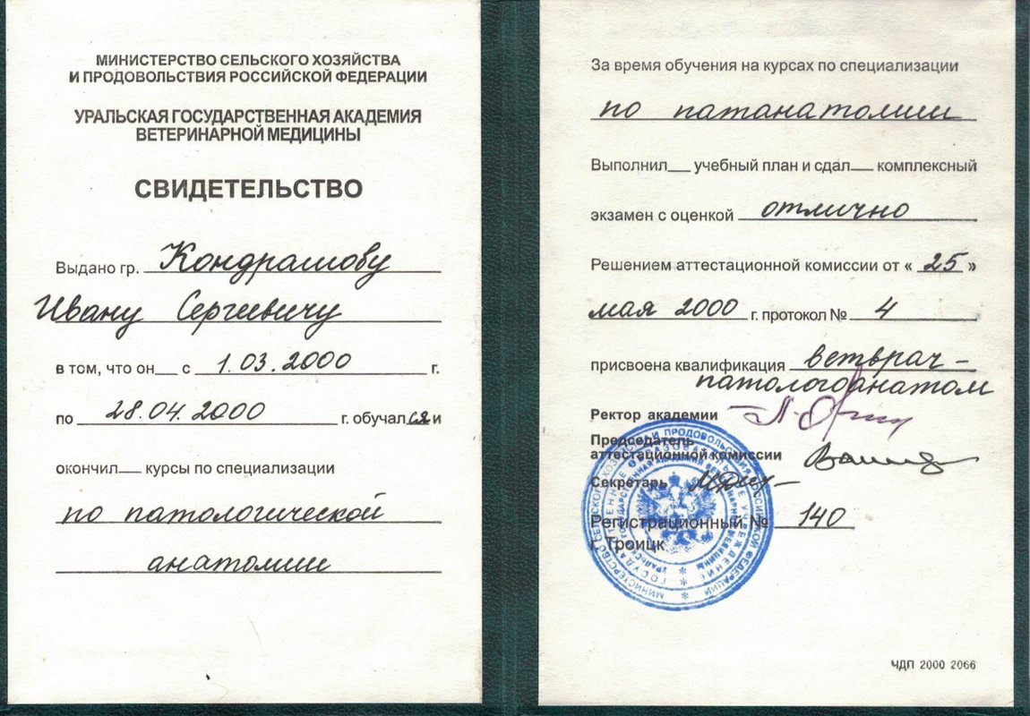 Документ или сертификат