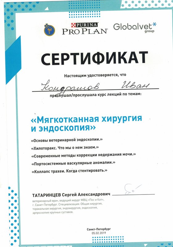 Документ или сертификат