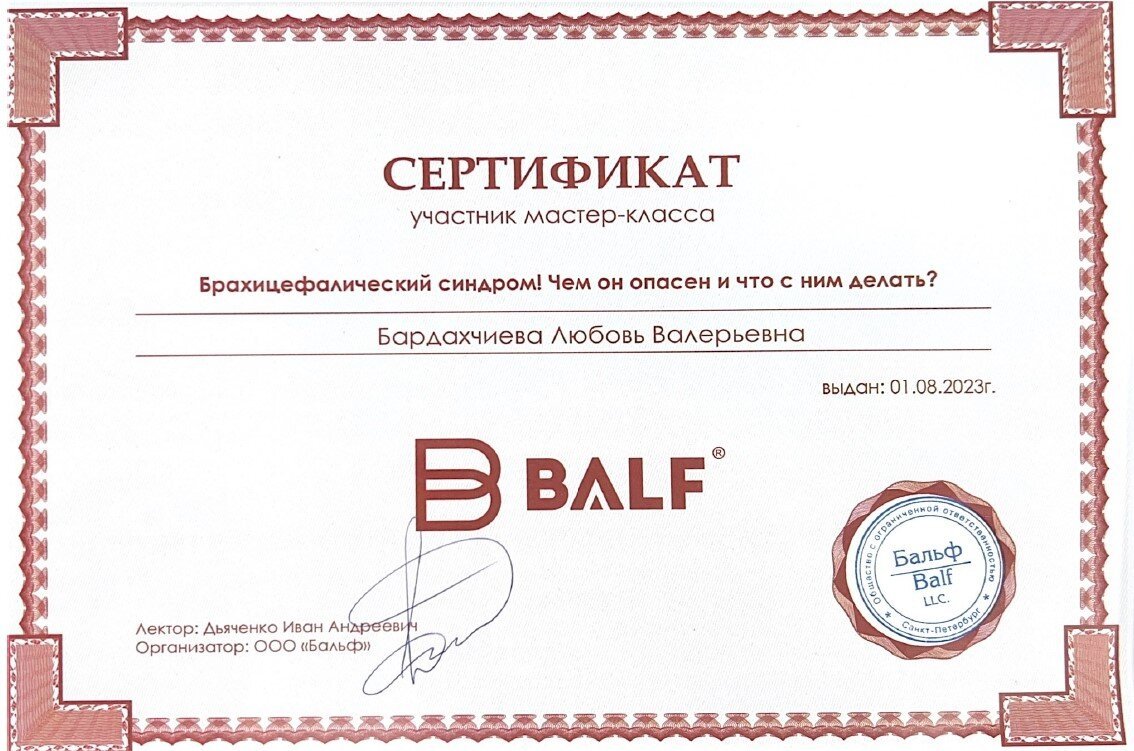 Документ или сертификат