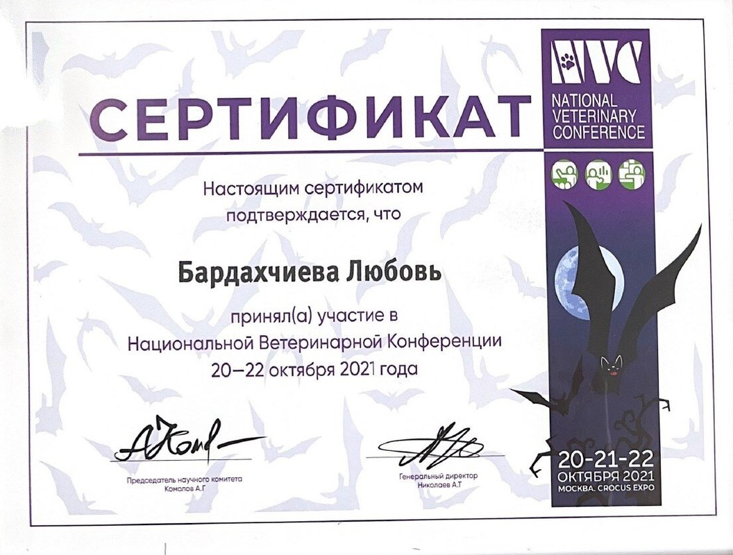 Документ или сертификат