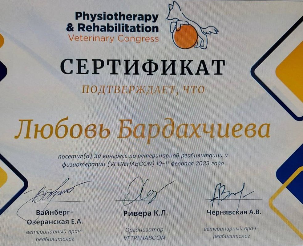 Документ или сертификат
