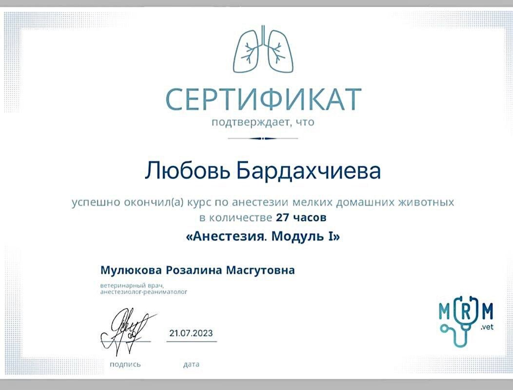 Документ или сертификат