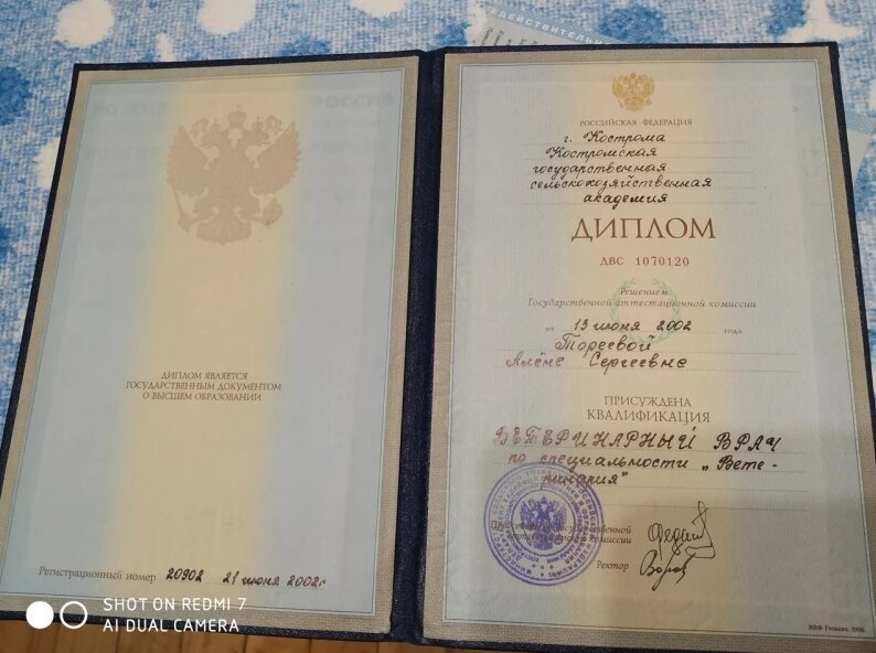Документ или сертификат