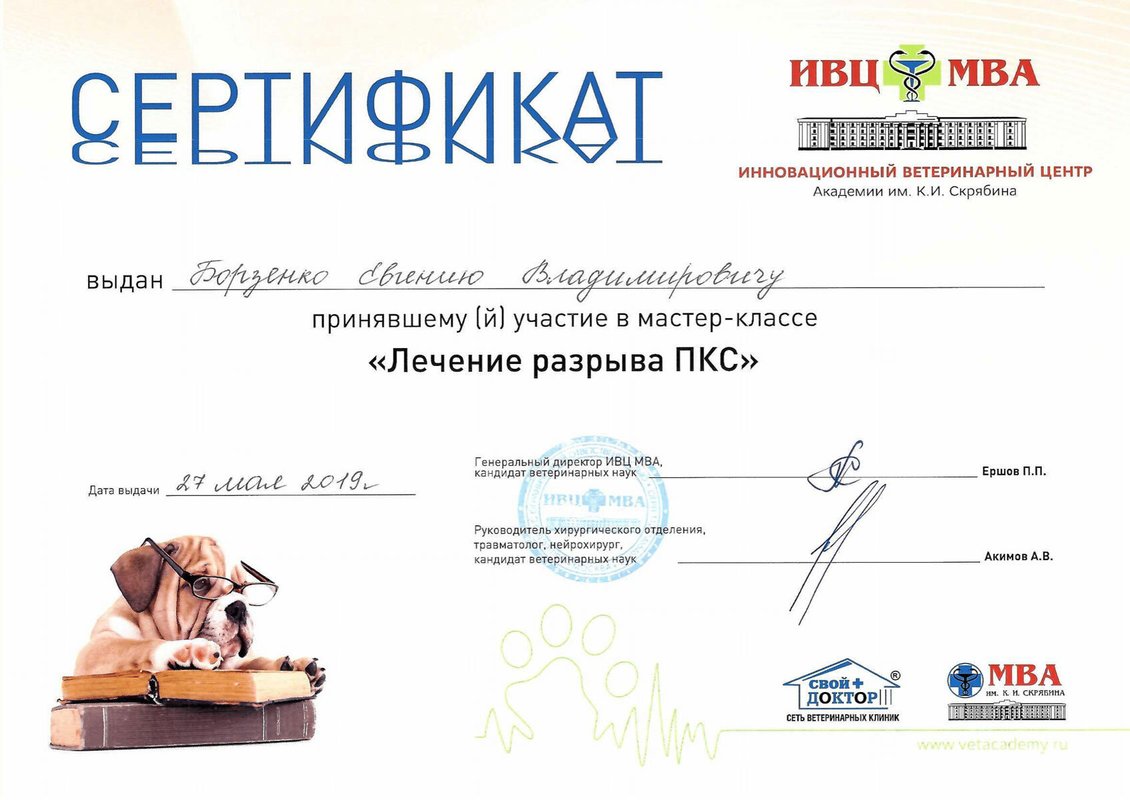 Документ или сертификат