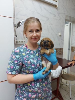 Фото врача Бушман Екатерина Викторовна