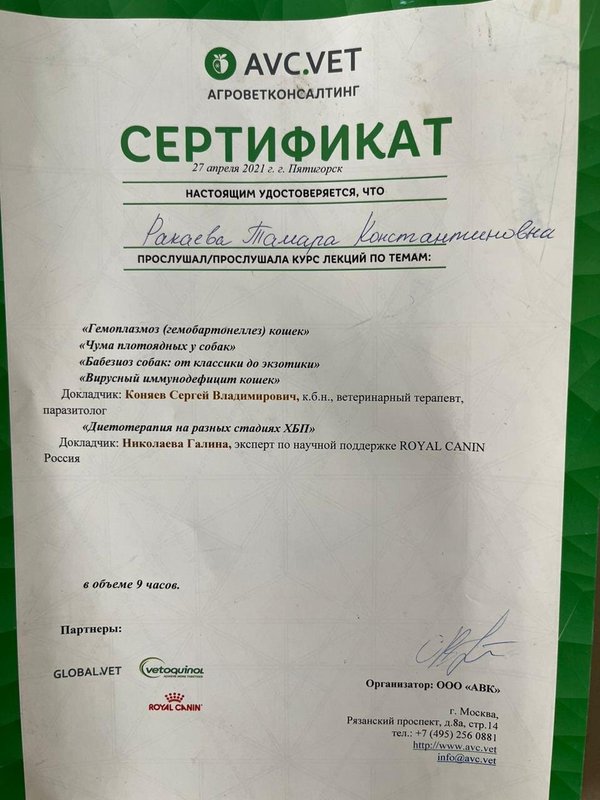 Документ или сертификат