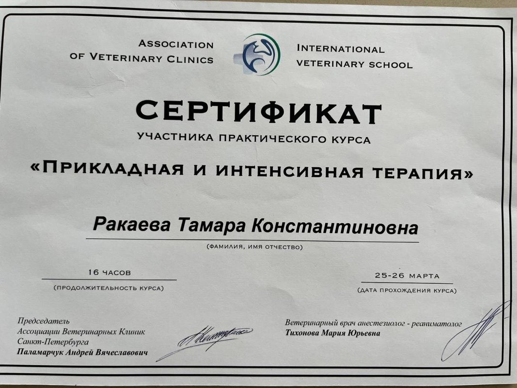 Документ или сертификат