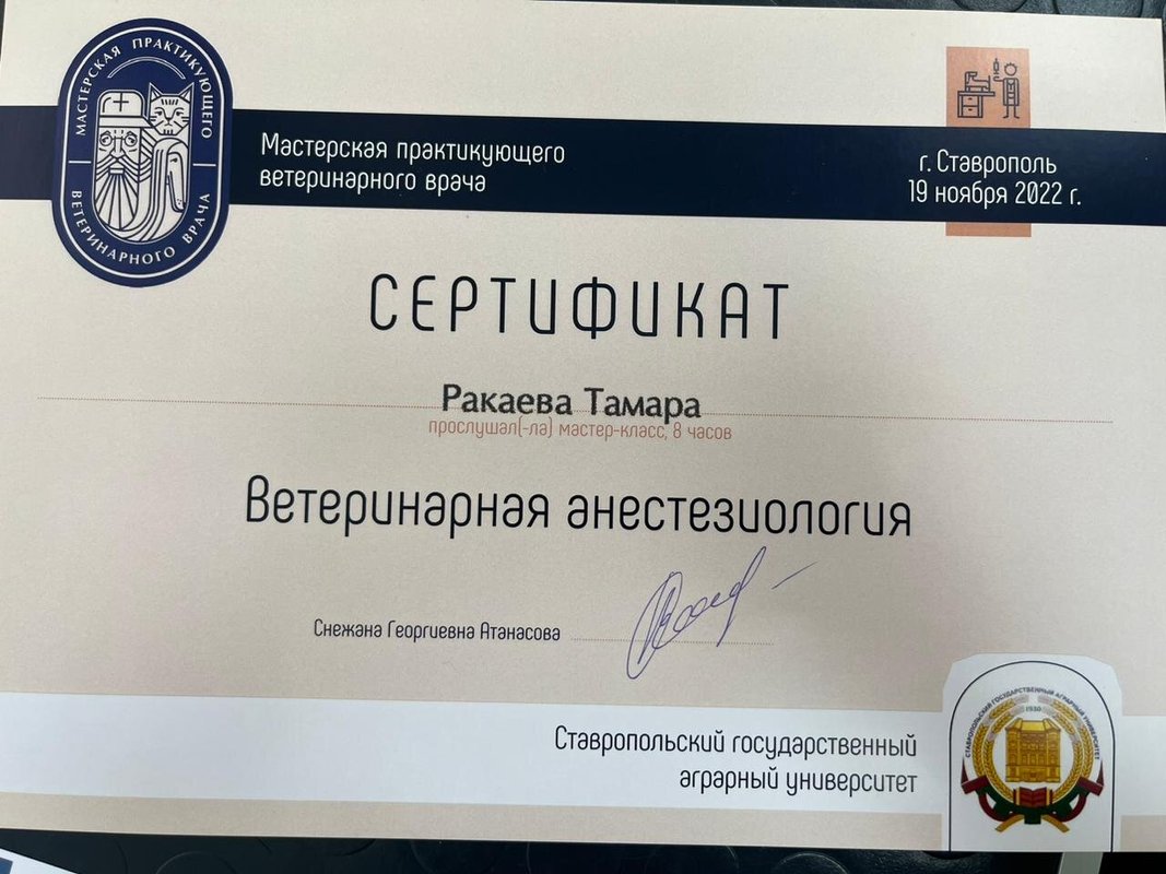 Документ или сертификат