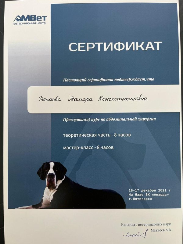 Документ или сертификат