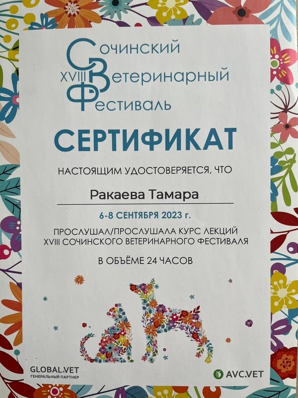 Документ или сертификат