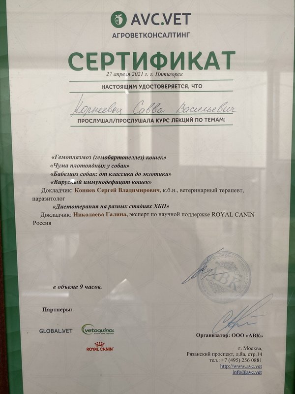 Документ или сертификат