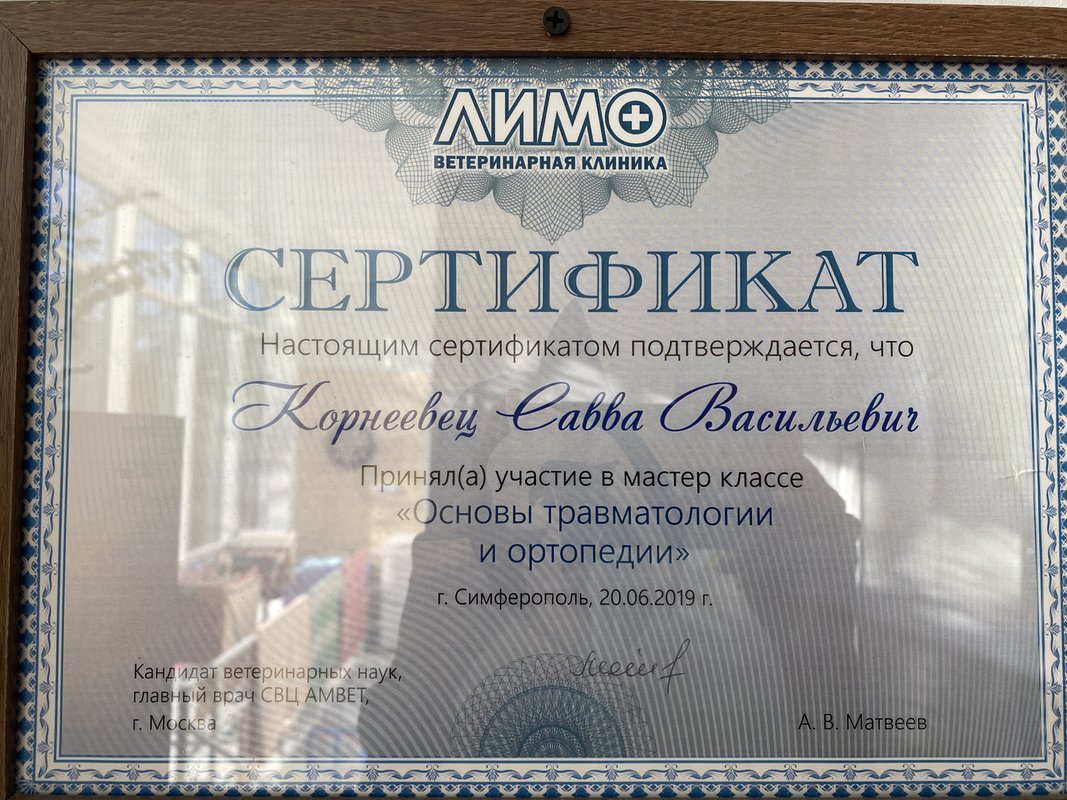 Документ или сертификат