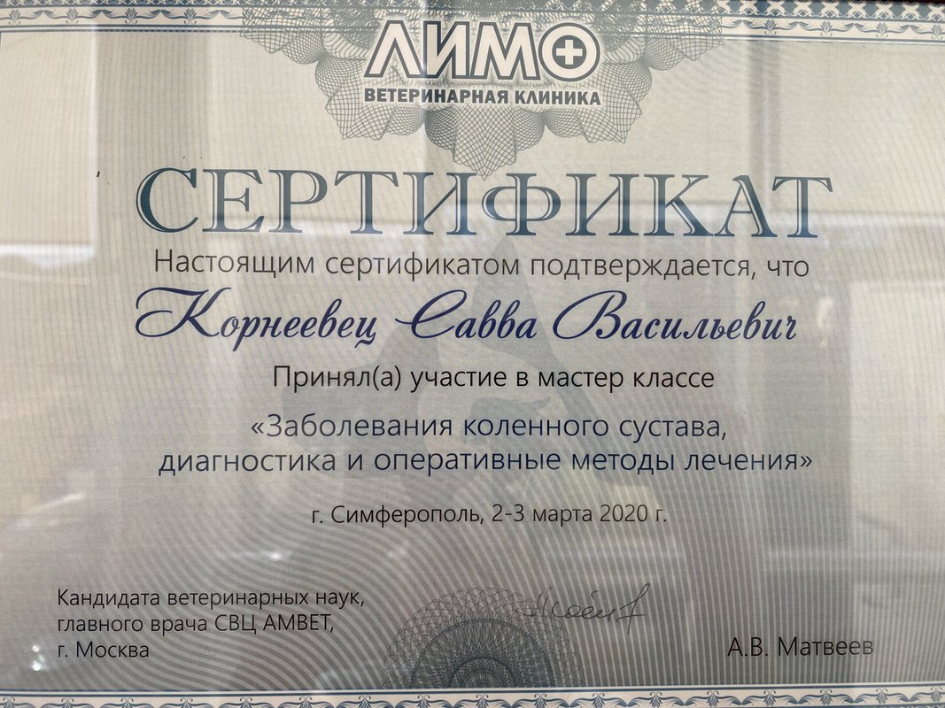Документ или сертификат