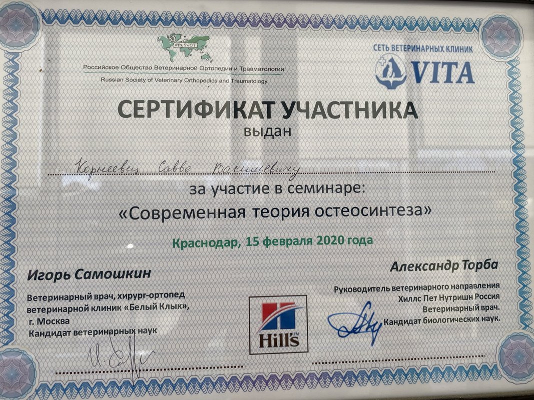 Документ или сертификат