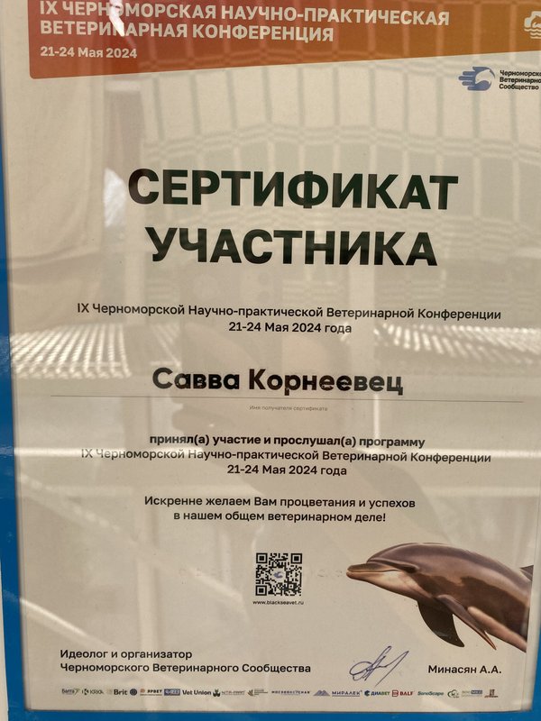 Документ или сертификат
