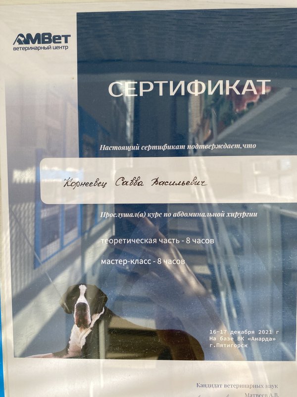 Документ или сертификат