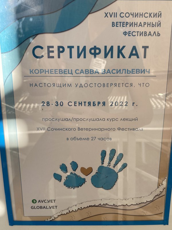 Документ или сертификат